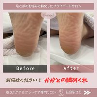 画像254