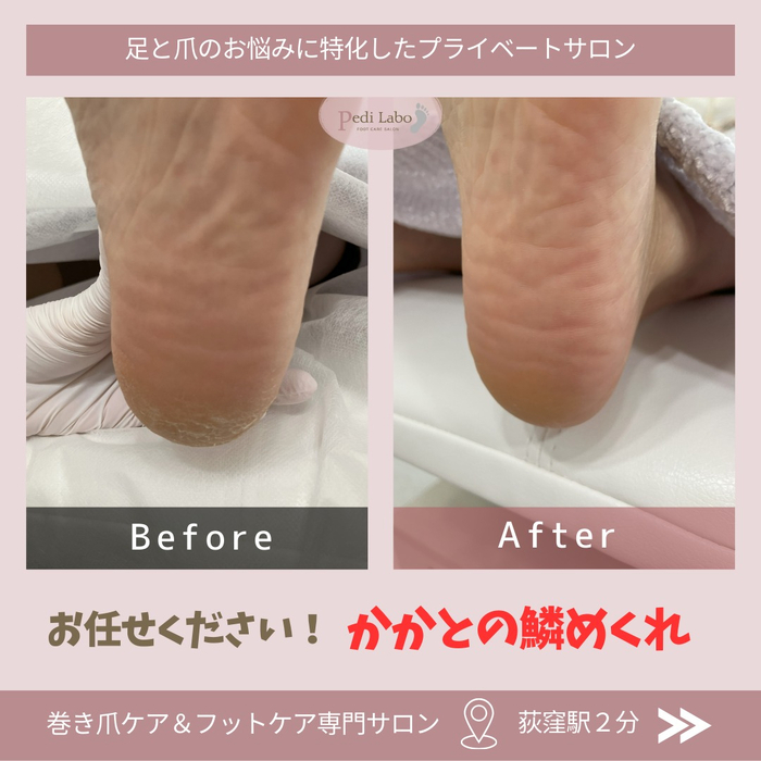 画像254