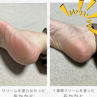 画像276