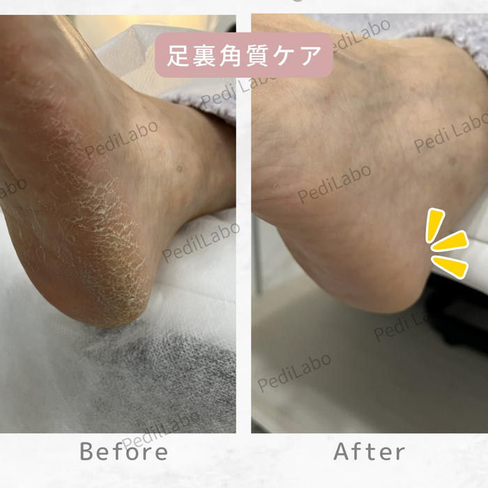 画像281